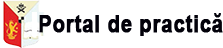 Portal stagii de practică